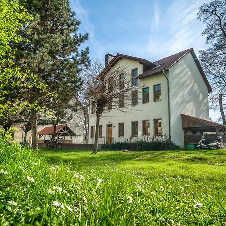 Lehastays - Apartments Buckau 16A I Kueche I Smart Tv Mit Netflix I Toller Innenhof Maagdenburg Buitenkant foto